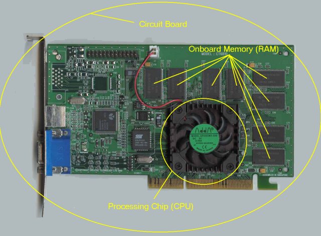 video-card.jpg (63188 bytes)